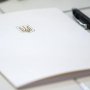 В Украине до конца года планируют ввести европейские директивы в украинские НПА в медицинской отрасли /profpressa