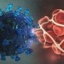 Антитіло AstraZeneca забезпечить «пасивну імунізацію»