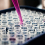 Astellas лицензировала в Sangamo кандидата для лечения неврологических заболеваний