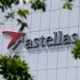 Astellas не удалось победить рак поджелудочной железы с помощью Vyloy