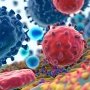 AbbVie розробить убивць раку за допомоги EvolveImmune Therapeutics