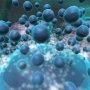 Стволовые клетки снижают нейровоспаление при прионных инфекциях