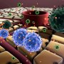 AVEO и Merck KGaA приступили к изучению нового комбо от рака