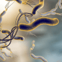 Helicobacter pylori: новые подходы к лечению в руководстве Американской коллегии гастроэнтерологии