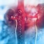 Эмпаглифлозин снижает сердечно-сосудистую смертность у пациентов с хронической болезнью почек почти на треть
