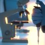 Потенційні каталізатори розвитку великих фармкомпаній: робота на перспективу