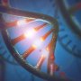 Amgen розробить пероральні препарати, які руйнують РНК