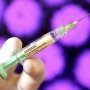 Вакцина против вируса папилломы GARDASIL 9 появится в Европе