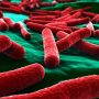 Mediapart: Nestlé продавала мінералку з Escherichia coli