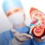 Novo Nordisk доказала пользу семаглутида для почек