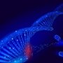 Препарат от лобно-височной деменции одобрен FDA по ускоренной процедуре