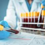 Препарат против гемофилии от Pfizer и Sangamo может повторить судьбу кандидата Biomarin