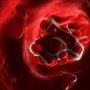 Новый антикоагулянт эффективно предотвращает тромбозы с минимальными «побочками»