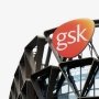 GlaxoSmithKline досягла нових успіхів у онкології /Endpoints news
