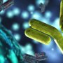 Триспецифичные антитела – Hi-Tec противоопухолевой иммунотерапии