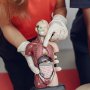 Новый законопроект: тела умерших могут использовать для науки и обучения /freepik