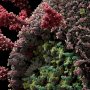 Ученые подозревают, что препараты от давления могут увеличить риски COVID-19