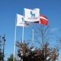 Novo Nordisk планує лікувати транстиретиновий амілоїдоз