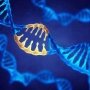 Испания будет компенсировать стоимость чрезвычайно дорогого орфанного препарата