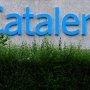 «Он сказал, она сказала»: Catalent опроверг заявления Eli Lilly о производстве ее препаратов для похудения