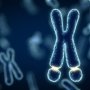 Kaerus Bioscience успешно запустила клиническую разработку препарата от синдрома ломкой X-хромосомы