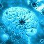 Болезнь Альцгеймера могут запускать инфекции