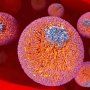 Разработчики перекупили у фармгиганта свой же кардиопрепарат – теперь он будет помогать людям с непереносимостью статинов