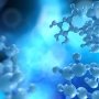 Boehringer Ingelheim закрыла один из перспективных проектов