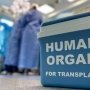 Трансплантация органов в рамках ПМГ: этапы лечения, которые являются бесплатными