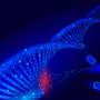 Препарат генотерапии Neurogene вызвал тяжелое осложнение