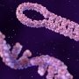 GSK інвестує $1 мільярд в новітню технологію через угоду з Frontier Biotechnologies