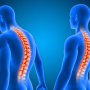 Ученые создали инновационный метод лечения травм спинного мозга /freepik