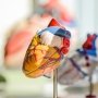 Pfizer спишет в утиль экспериментальный кардиопрепарат