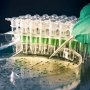 Разработка новых препаратов — все еще игра в угадайку, — основатель Verge Genomics Элис Чжан