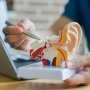 Sensorion розробить систему доставки ліків у внутрішнє вухо