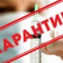 У Києві можуть закрити школи на карантин: у МОЗ назвали причини