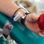 Внедряются новые стандарты планирования потребностей в донорской крови