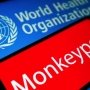 У Нігерії зареєстрували першу смерть від мавпячої віспи