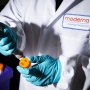 Трамп відібрав у Moderna гроші на розробку щеплення від пташиного грипу