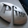 Pfizer отримала прискорене схвалення потенційного блокбастера для лікування раку крові