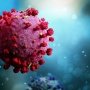 В Украине фиксируют единичные случаи нового варианта COVID-19 XFG: что о нем известно
