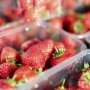 Предложен эффективный подход к выявлению «фальшивых» продуктов