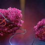 Novo Nordisk будет сотрудничать с Korro Bio