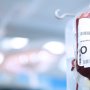 FibroGen невдало випробувала свій препарат проти анемії