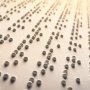 Гослекслужба напомнила об обновленных правилах маркировки лекарств шрифтом Брайля