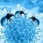 Вчені GSK пропонують нову стратегію боротьби з малярією