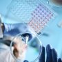Novartis будет разрабатывать молекулярный клей авторства Monte Rosa Therapeutics