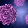 Eli Lilly уклала партнерську угоду з Sangamo