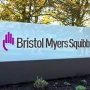 Bristol Myers Squibb разработает новое лекарство от рака при помощи Eisai