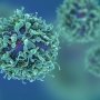 Adaptimmune будет лечить агрессивную саркому с помощью Tecelra